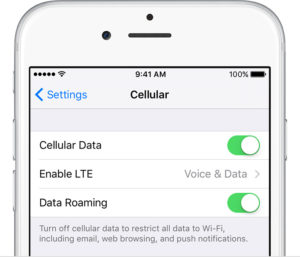 iphone6-ios9-settings-cellular-cellulardata-dataroaming